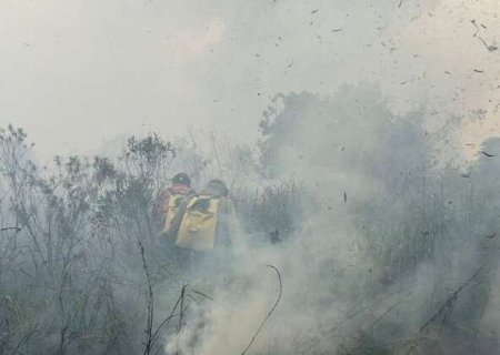Ap&oacute;s 4 dias, inc&ecirc;ndio que atingiu 500 hectares &eacute; controlado em Bonito