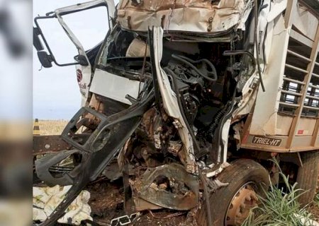 Motorista de caminhão morre preso às ferragens em acidente na BR-376