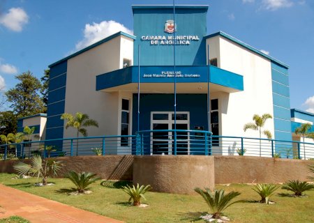 Angélica: Acompanhe os requerimentos e indicações dos Vereadores na sessão desta semana