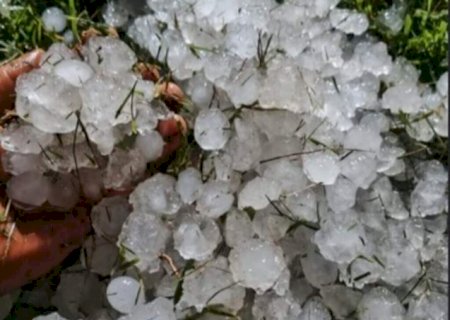 Granizo de maio causou perda de 2,1 mil hectares de milho no sul de MS