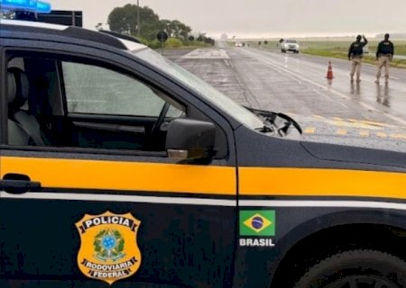 PRF apreende maconha e skunk em veículo com sinais de adulteração na BR-267 em Bataguassu