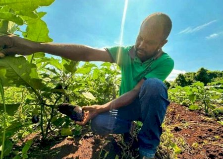 &Oacute;rg&atilde;os p&uacute;blicos de MS fecham R$ 4,2 milh&otilde;es em contratos com MEIs e produtores
