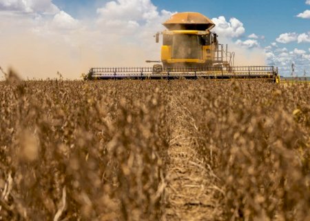 Mercado j&aacute; absorveu 91% da soja e 51% do milho produzido em MS